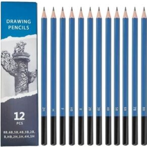 Wynhard Professional Drawing Pencils Sketching Pencil 12 Pcs Sketch Pencil Set for Artists Charcoal Pencils Shading Pencils Set for Drawing Graphite Pencils Art Pencil Set Artist Pencil for Beginners